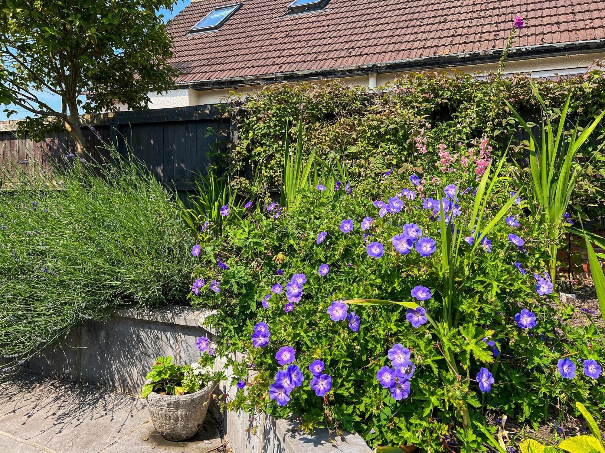 Cwtch Cottage Cardiff Exterior photo